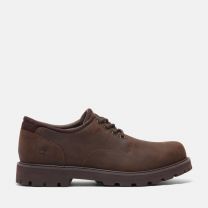 Timberland Men's Britton Road Low Lace-Up Waterproof Shoe, Dark Brown Full Grain