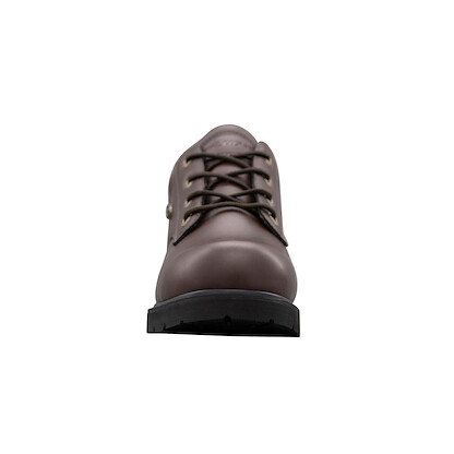 Lugz Men's Drifter Lo LX Oxford Fashion Boot, Dark Brown/Black, 7.5 M