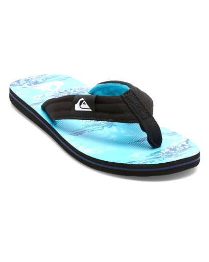 Quicksilver Men's Molokai Layback II Sandal Blue 9 - AQYL101339_M-BYJ9