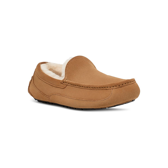 UGG Men's Ascot Slipper Chestnut - 1101110-CHE